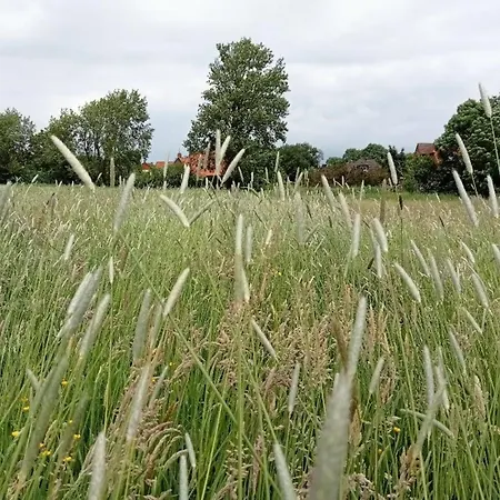 Landschaft Vakantiehuis