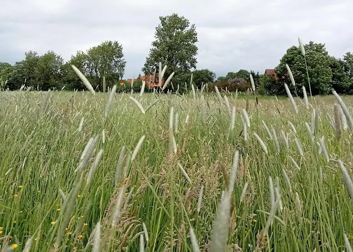 Landschaft Vakantiehuis